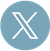 Light blue X Icon
