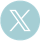 Light blue twitter icon