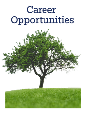 Career Opportunities with a Green Tree Poster