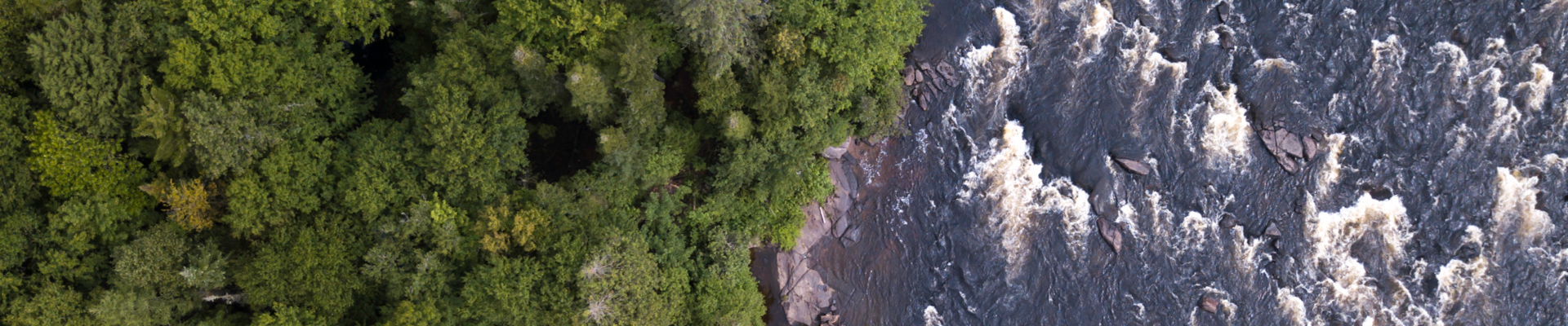 Green forestry that covers next to a dark blue body of water with heavy waves