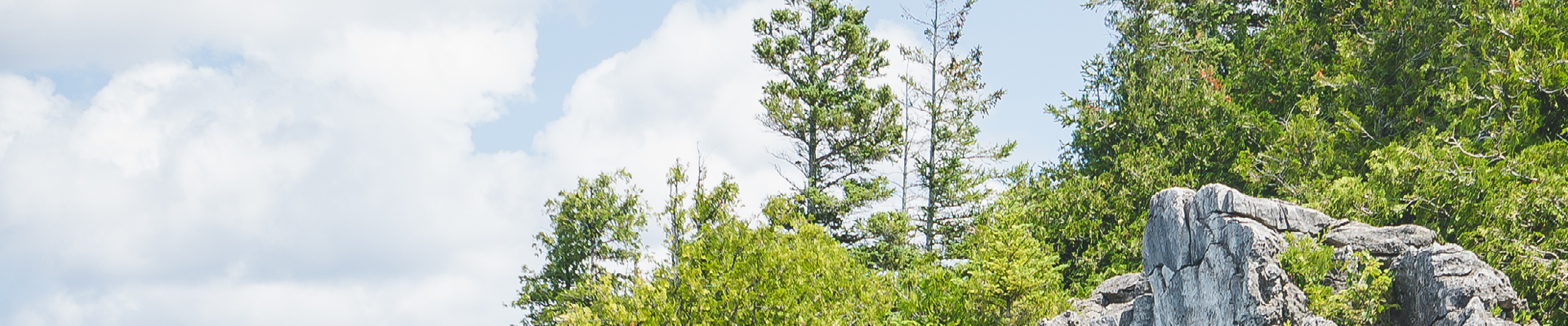 Green trees with a grey stone ledge and cloudy blue sky 