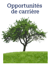 Possibilités de carrière chez Green Tree Poster