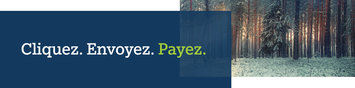 En-tête BMS - Cliquez. Envoyer. Payer