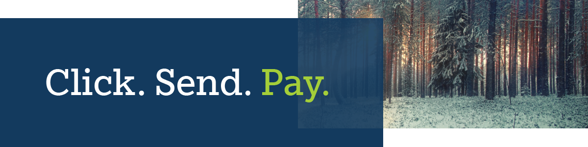 BMS Header - Click. Send. Pay